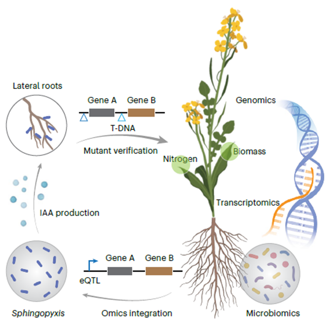 文件名称:image2.png原图大小:NaNGB