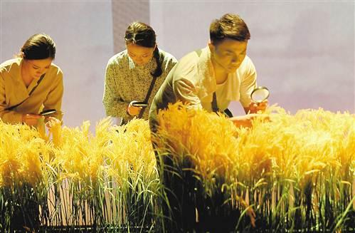 文件名称:image2.jpeg原图大小:NaNGB